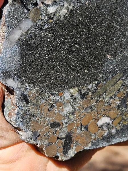 Polished Beaton's Creek auriferous conglomerate slab BC120