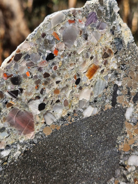Polished Beaton's Creek auriferous conglomerate slab BC120
