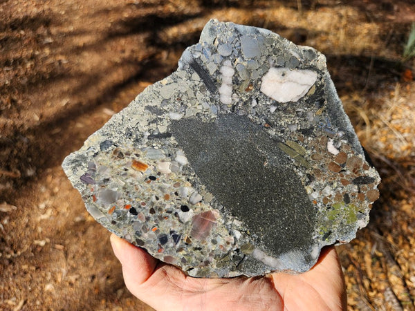 Polished Beaton's Creek auriferous conglomerate slab BC120