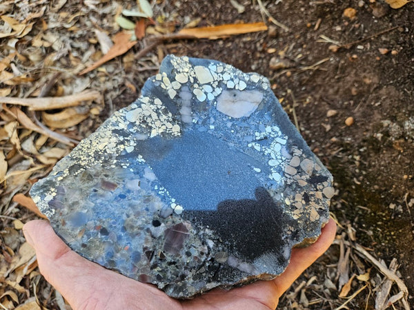 Polished Beaton's Creek auriferous conglomerate slab BC120