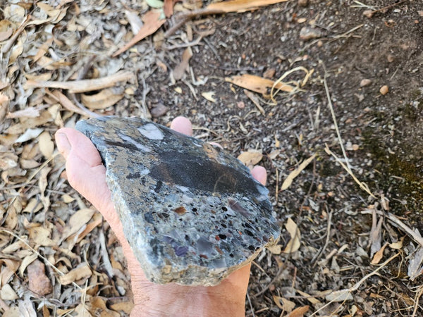Polished Beaton's Creek auriferous conglomerate slab BC120