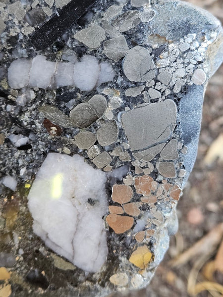 Polished Beaton's Creek auriferous conglomerate slab BC120