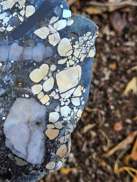 Polished Beaton's Creek auriferous conglomerate slab BC120