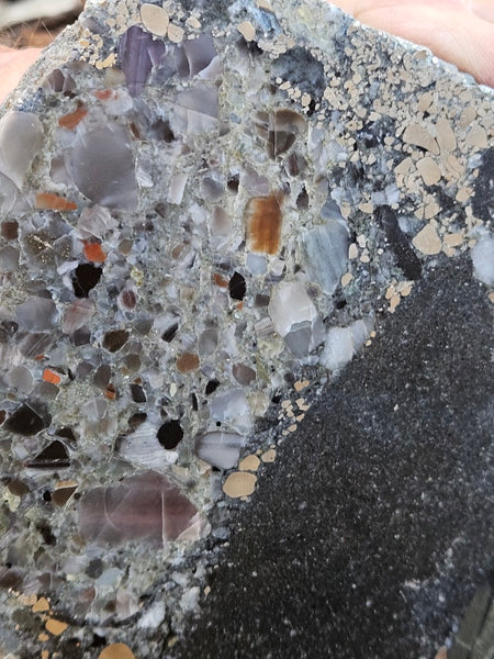 Polished Beaton's Creek auriferous conglomerate slab BC120