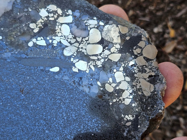 Polished Beaton's Creek auriferous conglomerate slab BC120