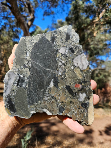 Polished Beaton's Creek auriferous conglomerate slab BC121