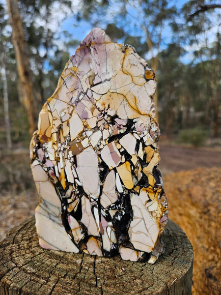 Polished Brecciated Mookaite rock BM342