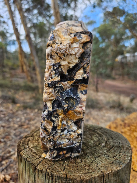 Polished Brecciated Mookaite rock BM342
