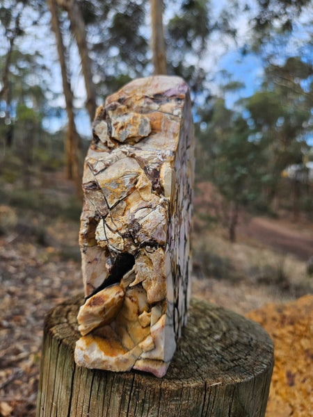 Polished Brecciated Mookaite rock BM342