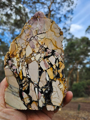 Polished Brecciated Mookaite rock BM342