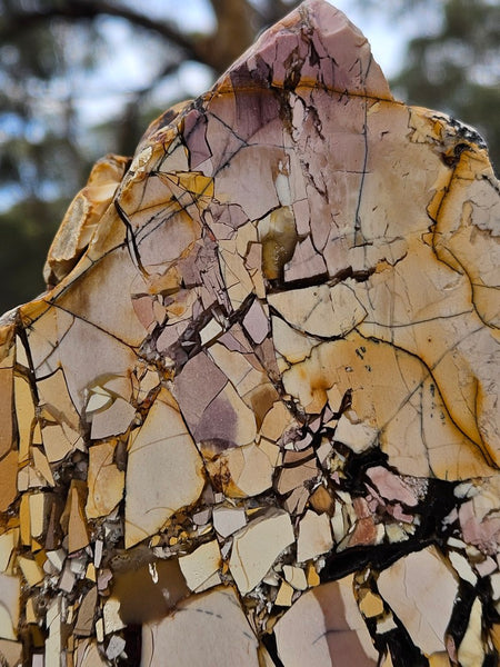 Polished Brecciated Mookaite rock BM342