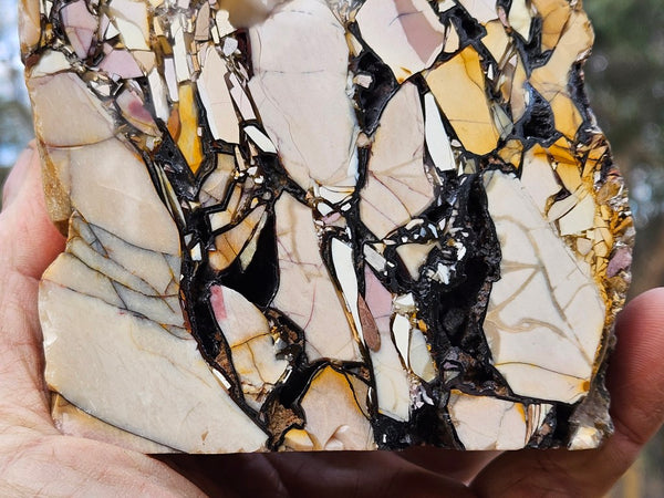 Polished Brecciated Mookaite rock BM342