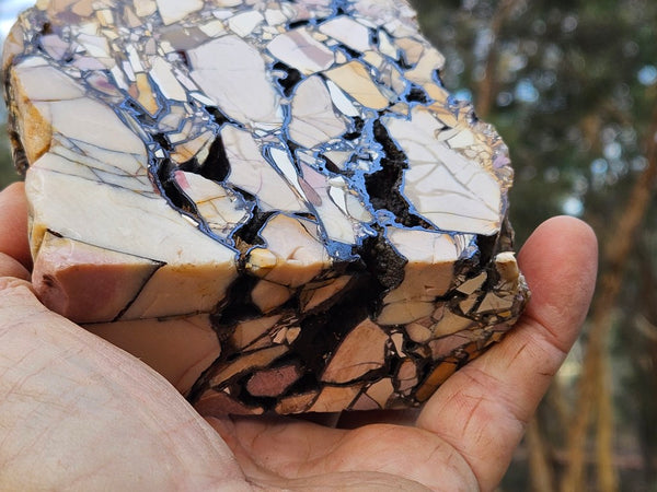 Polished Brecciated Mookaite rock BM342