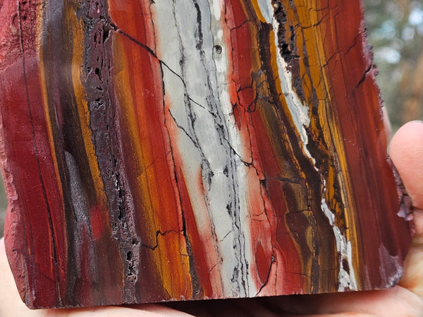 Sunset Jasper polished  SU200