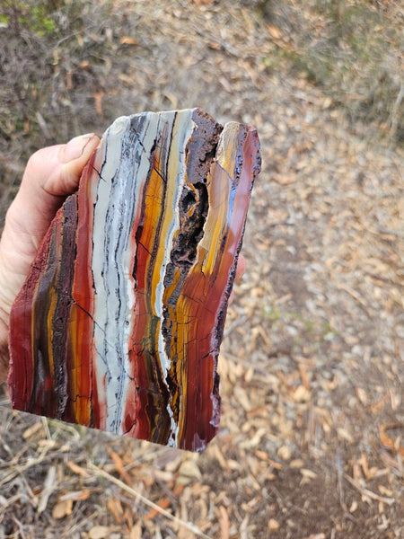Sunset Jasper polished  SU200