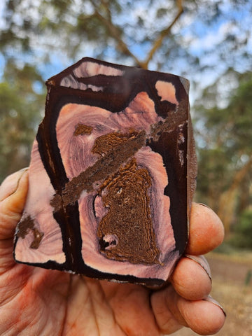 Polished Outback Jasper slab OJ211