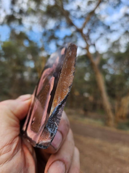 Polished Outback Jasper slab OJ211