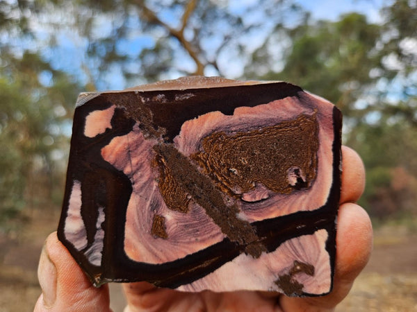 Polished Outback Jasper slab OJ211