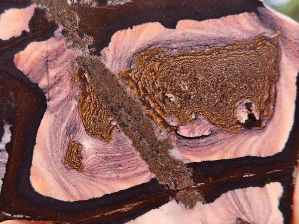 Polished Outback Jasper slab OJ211