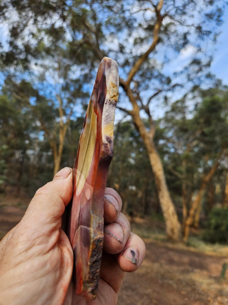 Polished  Mookaite slab MK587