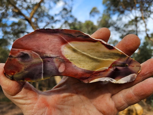 Polished  Mookaite slab MK587