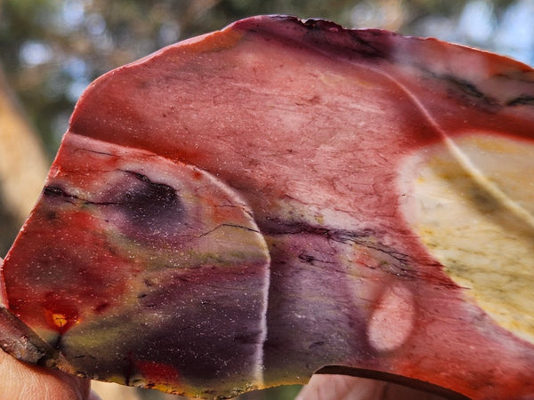 Polished  Mookaite slab MK587