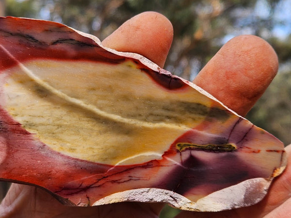 Polished  Mookaite slab MK587