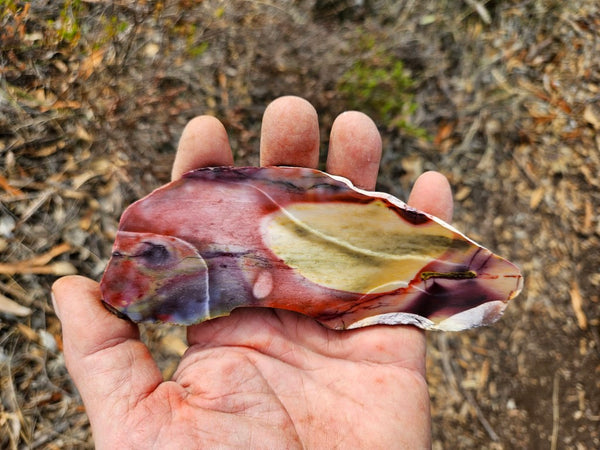 Polished  Mookaite slab MK587