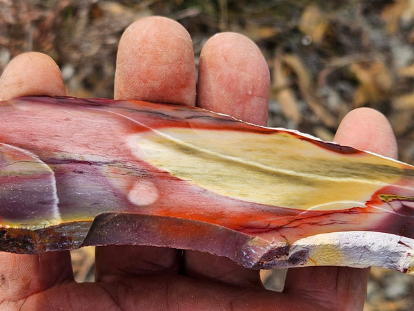 Polished  Mookaite slab MK587