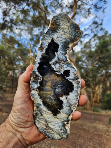 Polished Dendritic Opal slab DO240