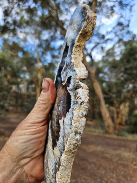 Polished Dendritic Opal slab DO240