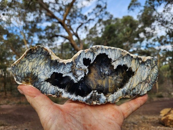 Polished Dendritic Opal slab DO240