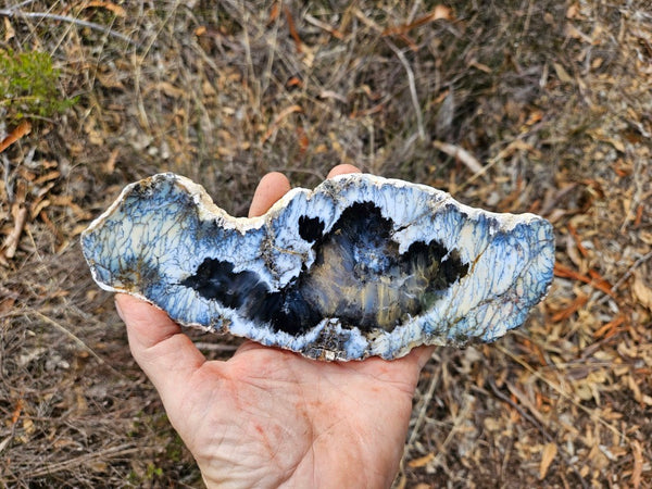 Polished Dendritic Opal slab DO240