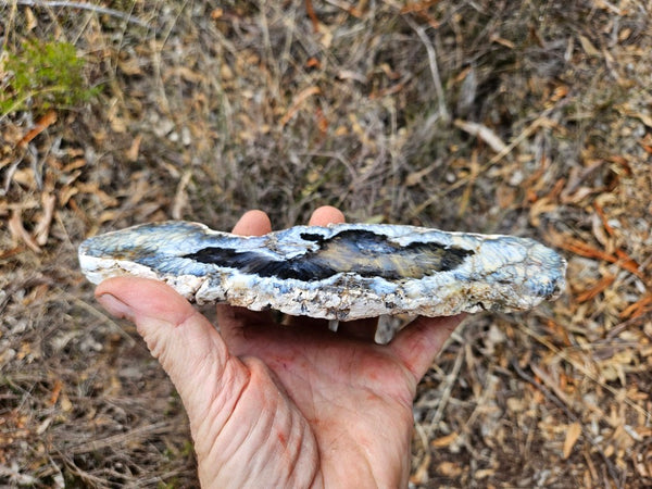 Polished Dendritic Opal slab DO240