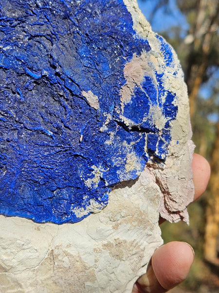Azurite Sun  AZ190