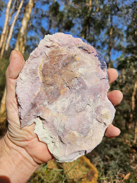 Azurite Sun  AZ190