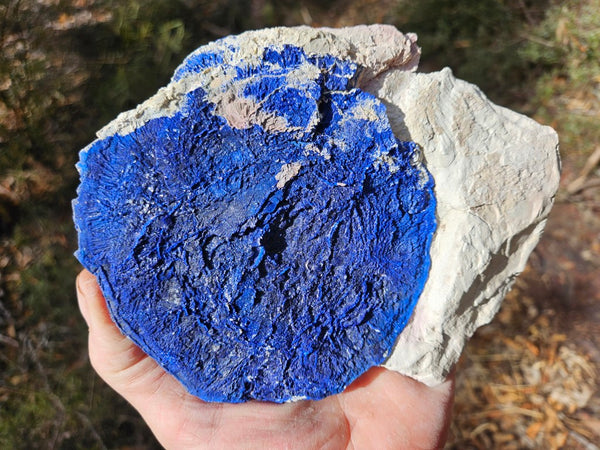 Azurite Sun  AZ190