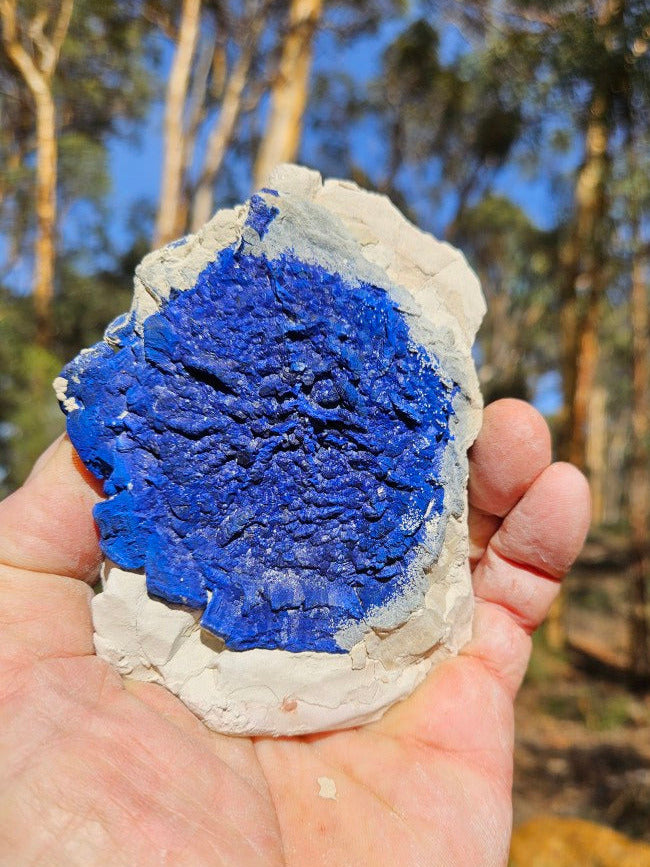 Azurite Sun  AZ191