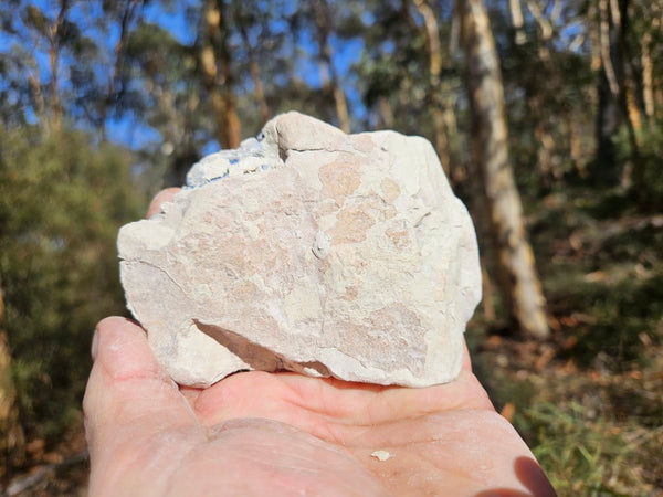 Azurite Sun  AZ191