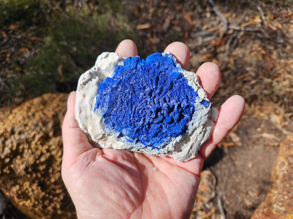 Azurite Sun  AZ191