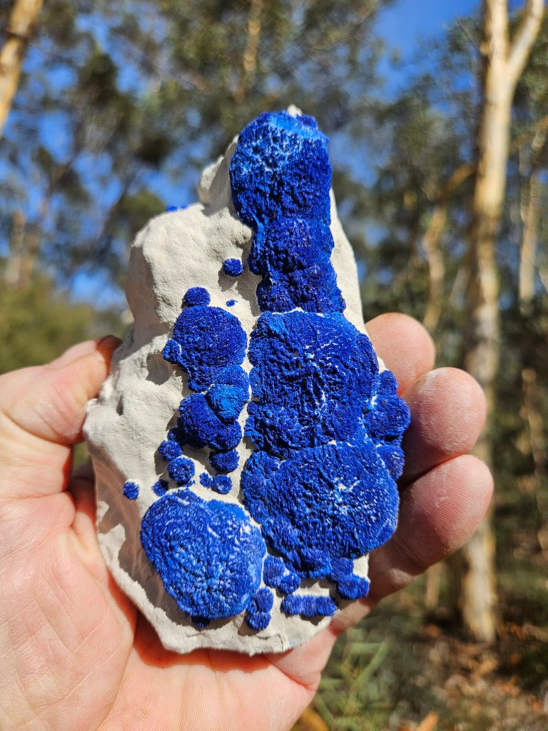 Azurite Sun  AZ192