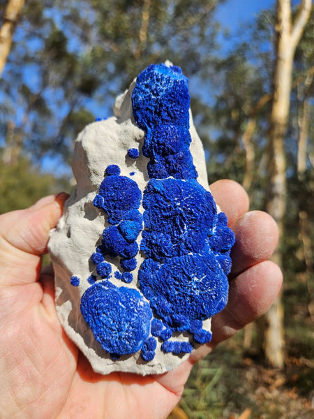 Azurite Sun  AZ192
