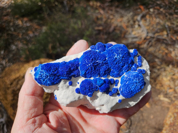 Azurite Sun  AZ192