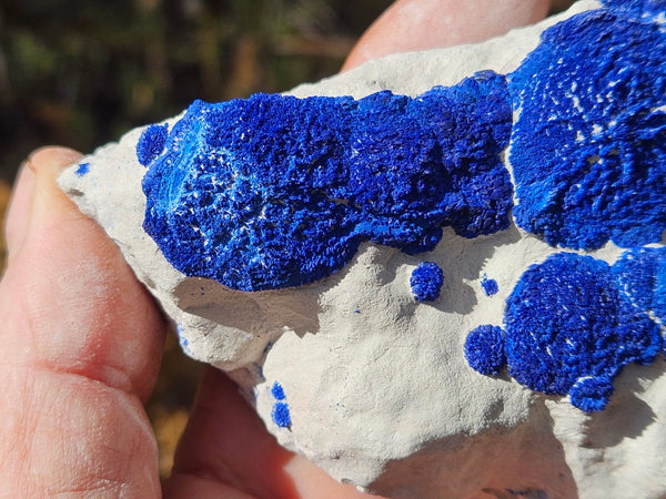 Azurite Sun  AZ192