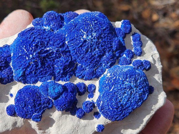 Azurite Sun  AZ192