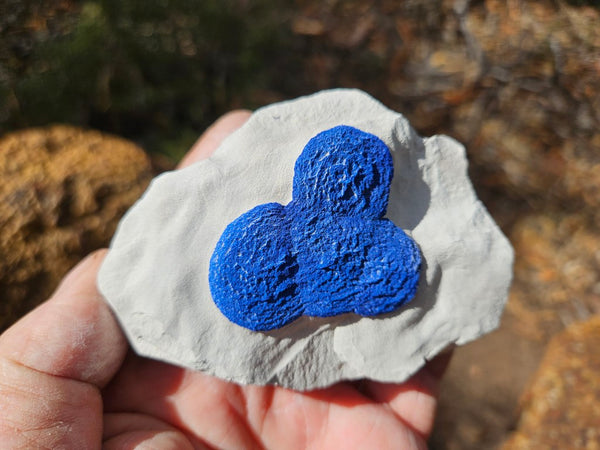 Azurite Sun  AZ193