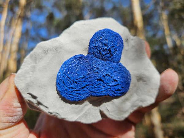 Azurite Sun  AZ193