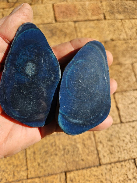 Polished Vivianite nodule VV101
