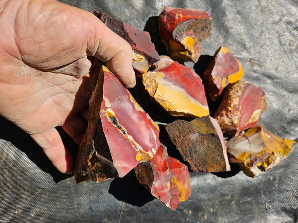 Mookaite rough.  MKR 300