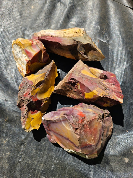 Mookaite rough.  MKR 301